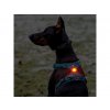 Truelove nabíjateľné svetielko psa psa,na postroj,obojok,rôzne sveteľné možnosti,vysoká viditeľnosť,polykarbonát,vodotesné,USB,dlhá výdrž,rôzne farby 1