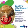 4 Benefits SodaPup Enrichment Feeder SodaPup Santa eBowl