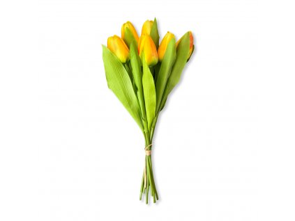 Svazek tulipánů žlutý