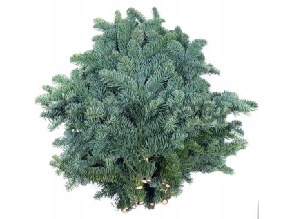 Jedle NOBILIS živé voňavé větve