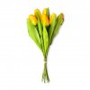 Svazek tulipánů žlutý