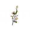 Větvička magnolie bílá 50cm