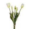 tulip bile