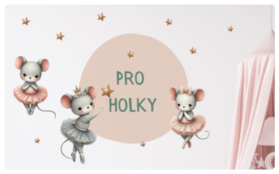 KATEGORIE PRO HOLKY