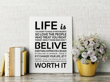 Plátno na zeď Life is too short to...