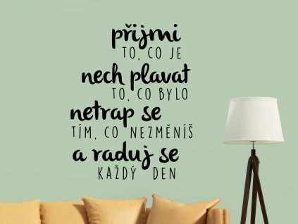 Samolepky na zeď český nápis citát na zeď Přijmi a raduj se každý den