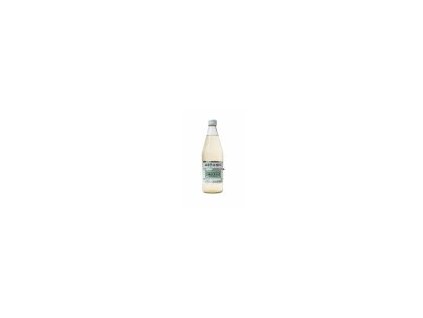 artonicgingerale500