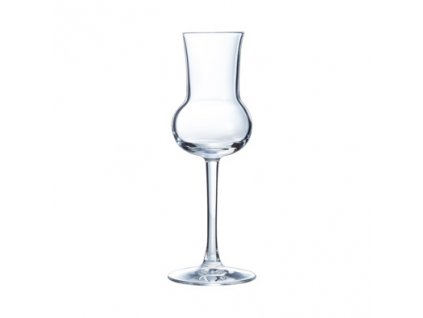 arcoroc vina grappa liqueur glasses 9cl set of 6