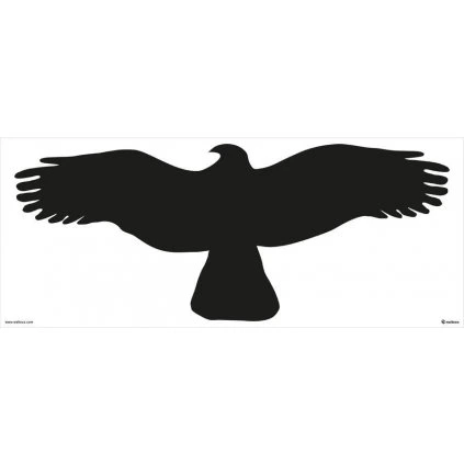 Silueta dravca 400x170mm, samolepka