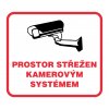 Prostor střežen kamerovým systémem 90x90mm, samolepka