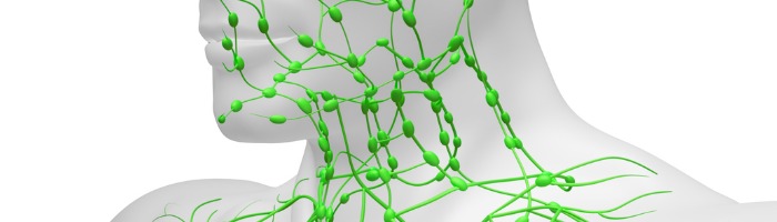 lymphatic-system-picture-id1135401338