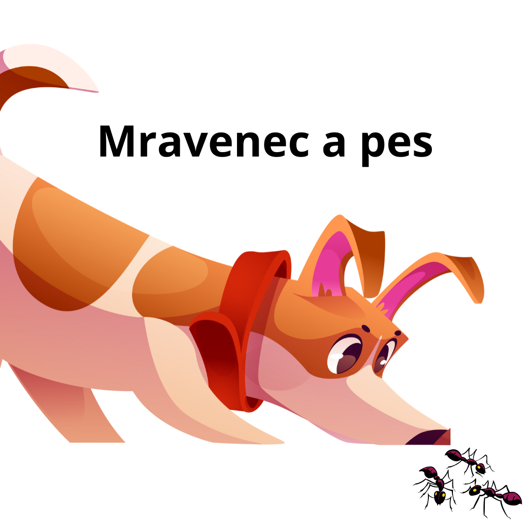 Co dělat, když psa kousne mravenec nebo sní jed na mravence? Praktický návod první pomoci