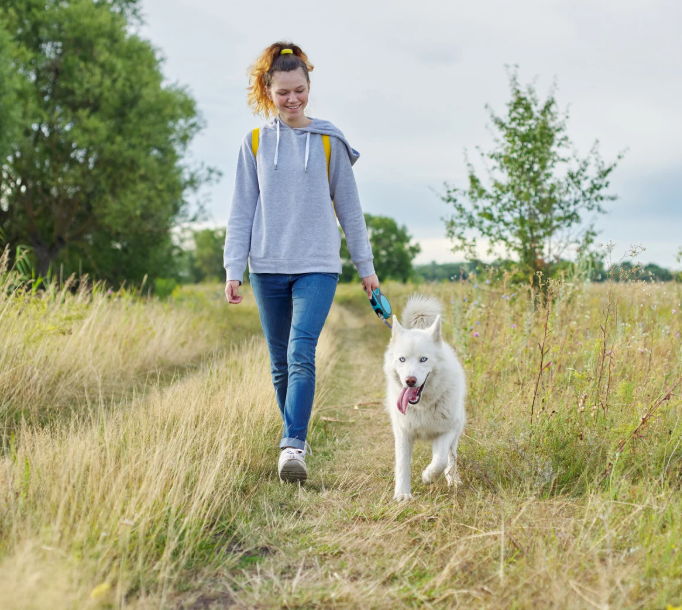 Nejčastější chyba pejskařů: Jak často venčit psa