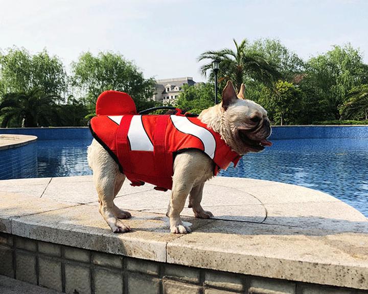 french-bulldog-sink