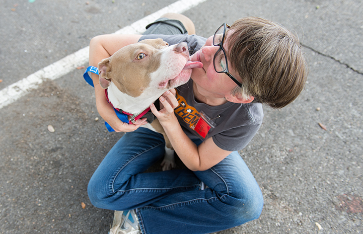 Hurricane-Harvey-dog-Boy-2367