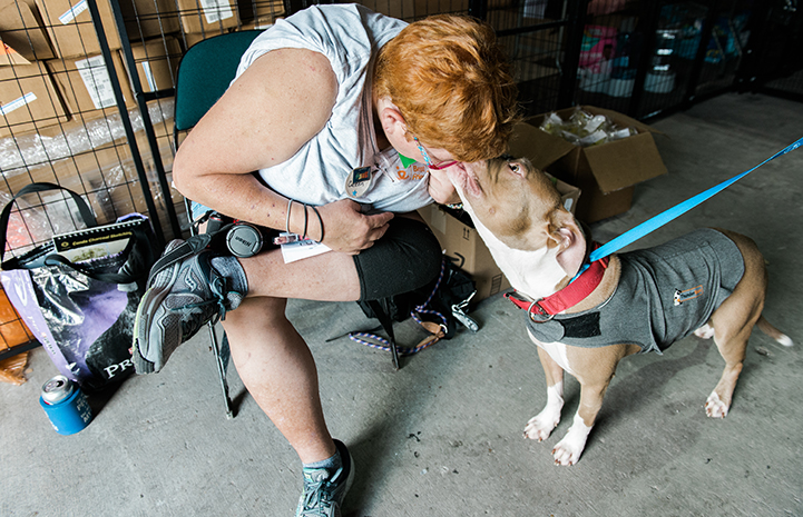 Hurricane-Harvey-dog-Boy-3084