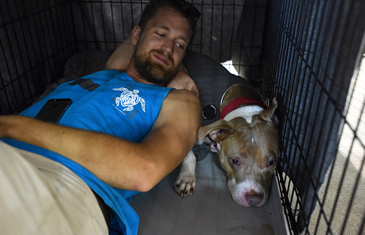 Hurricane-Harvey-dog-Boy-volunteer