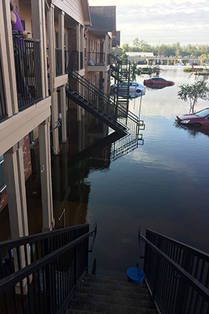 Hurricane-Harvey-dog-Second-flood2