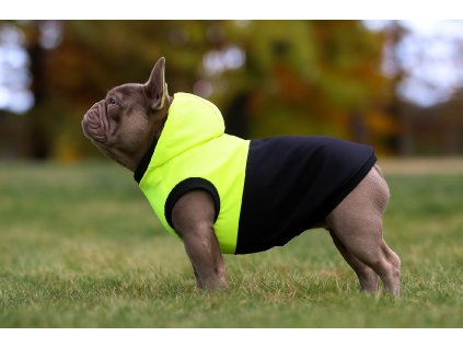 Nepromokavá softshellová bunda pro psa - Neon Midnight