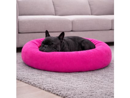 ChatGPT Image 26. 1. 2026, 20 05 34