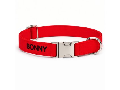 Obojek pro psa se jménem - červená