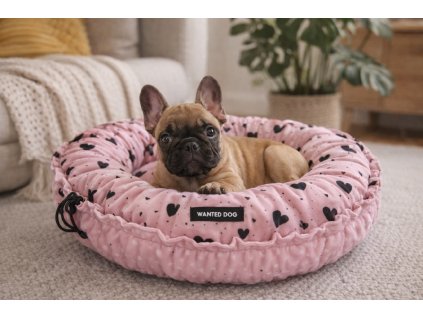 file 00000000accc71fdbe90c24dcf9634bd