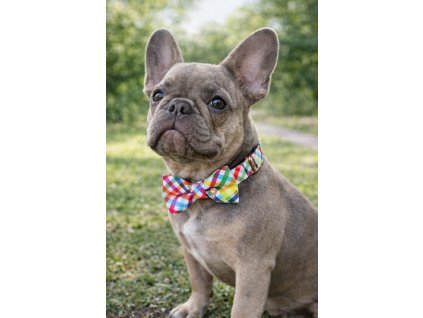 ChatGPT Image 5. 3. 2026, 15 23 31