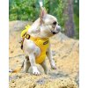 BATPIG Backpack Harness Ducky Customer Photo 1 1000x1250