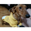 Teplá mikina pro psa