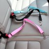 Bezpečnostní pás pro psy do auta barevné