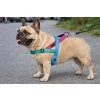 No - pull Reflexní postroj pro psa proti tahání