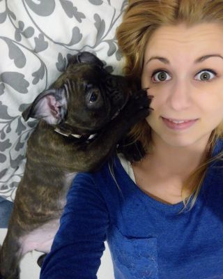 Když si myslíš, že máš soukromí… ale tvůj pes má jiný názor 😅🐾 Dozor probíhá 24/7.💙 #Pejsek #Mazlíček #PsíLáska #psy...