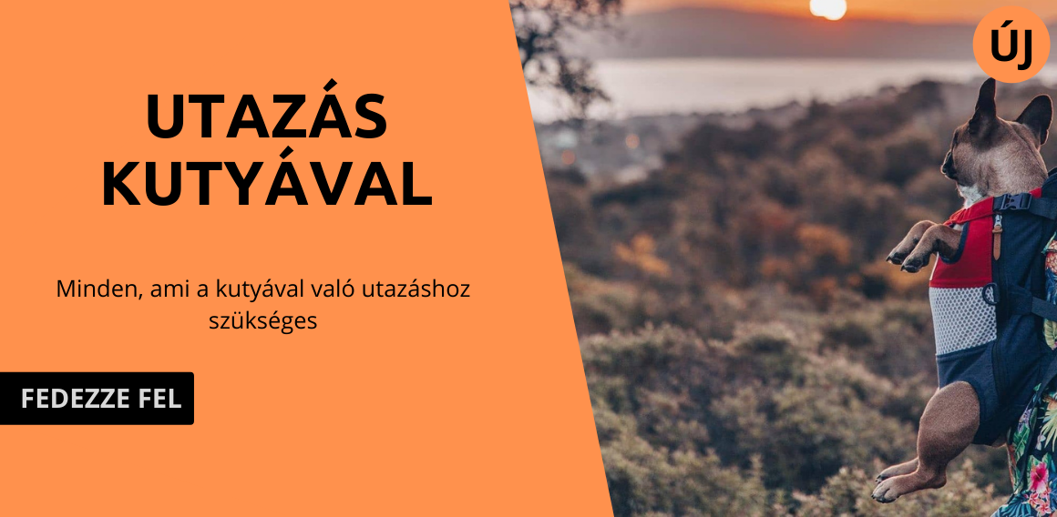 Utazás kutyával