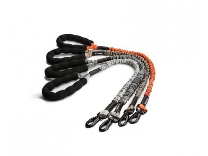 bungee