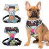 Reflexný postroj pre psy