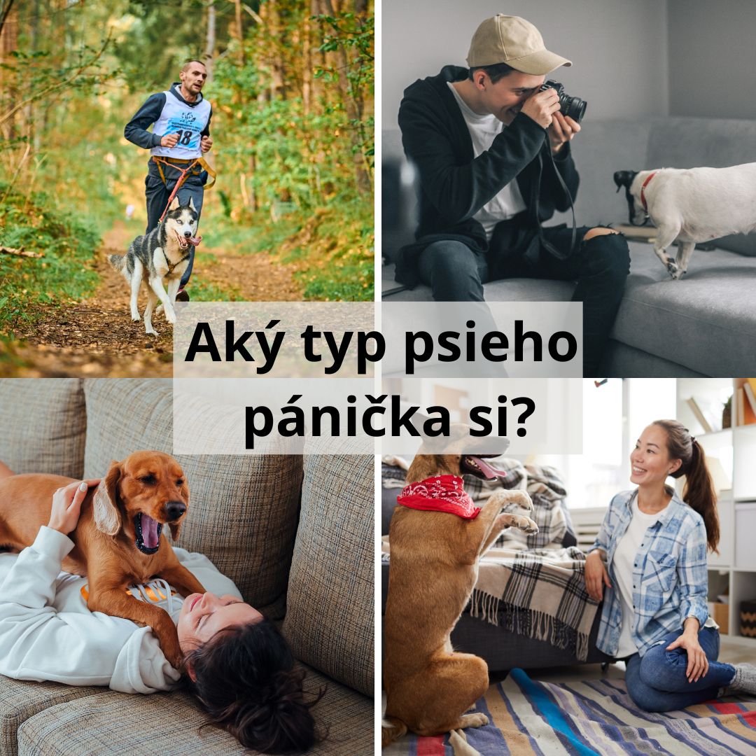 Aký typ psieho pánička si? Urob si náš zábavný test!