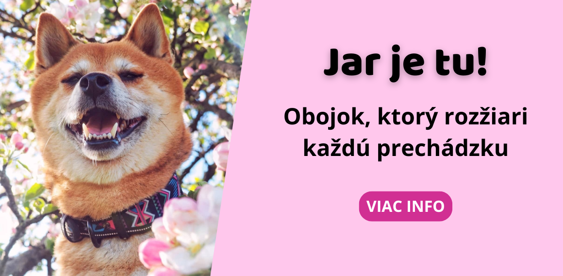 Obojok pre psa