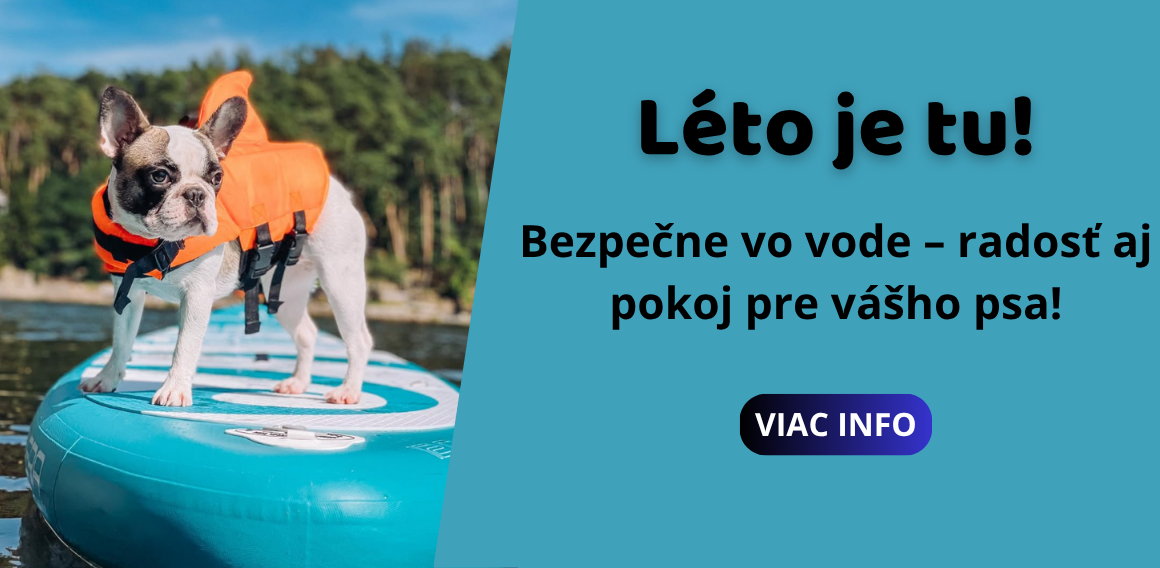 Léto je tu