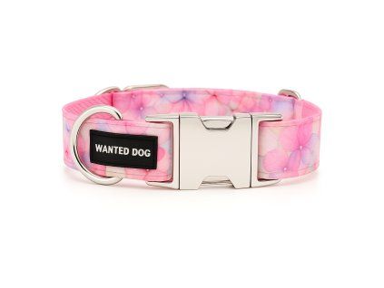 ChatGPT Image 14. 9. 2025, 17 19 18