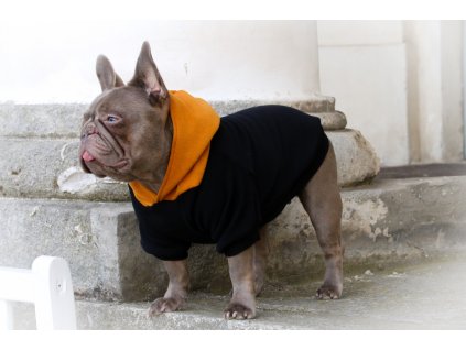 WhatsApp Image 2023 10 29 at 17.58.06 (3)