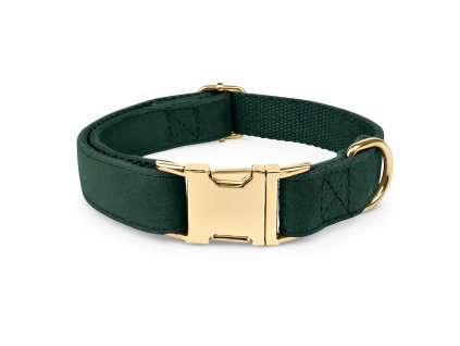 Royal Green luxusný sametový obojok pre psa – elegantný obojok pre malé aj veľké psy