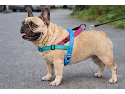 ChatGPT Image 22. 2. 2026, 19 06 34