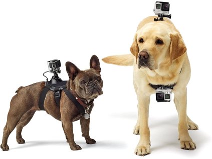 Postroj pre psa pre kamery GoPro