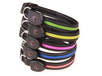 Light svítící obojek pro psa9