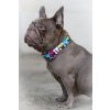 Farebný Nylonový obojok pre psa - FRENCHIES