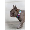 Farebný Nylonový obojok pre psa - FRENCHIES