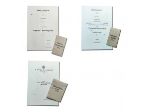 Badge certificates & envelopes WW2 German Wehrmacht Heeres