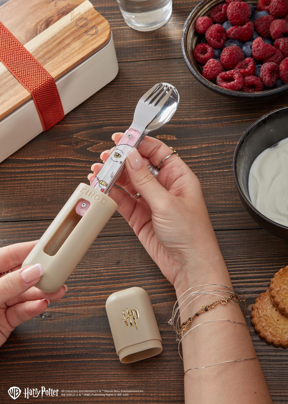 Akinod-12H12-Harry-Potter-3