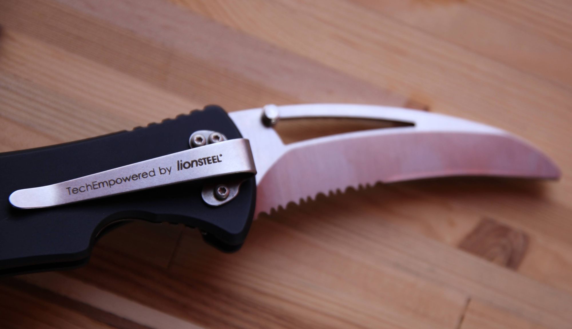 Antonini-SOS-ARA_BAT-N-S-2