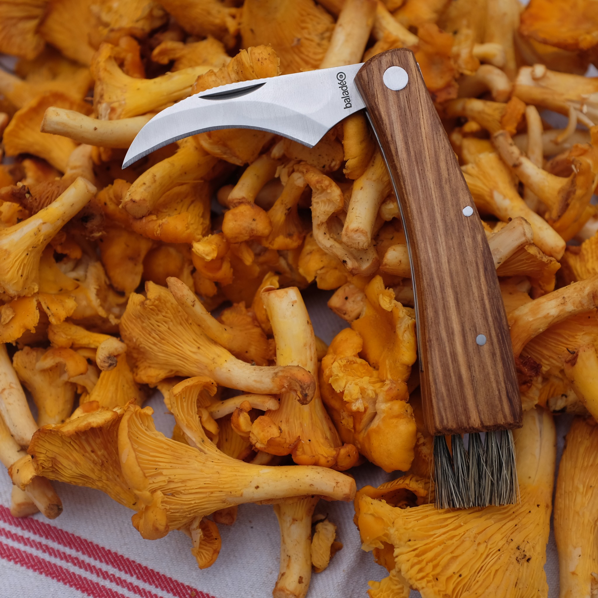 Baladeo-ECO029-akce-2